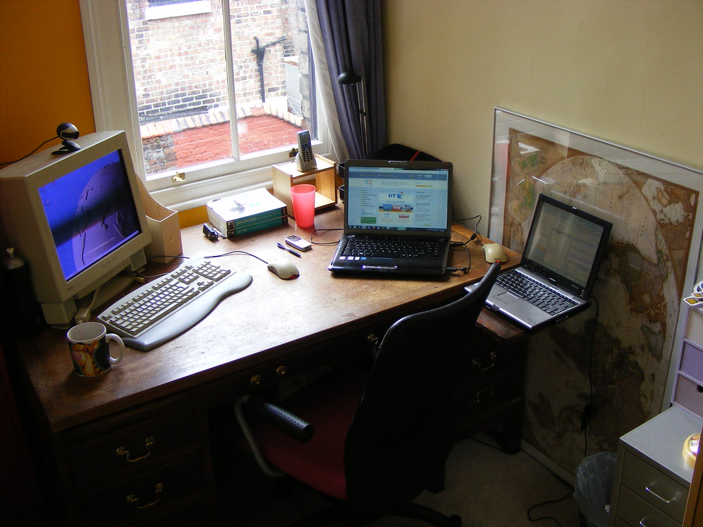 The New Study